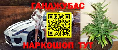 мяу мяу мука Славгород
